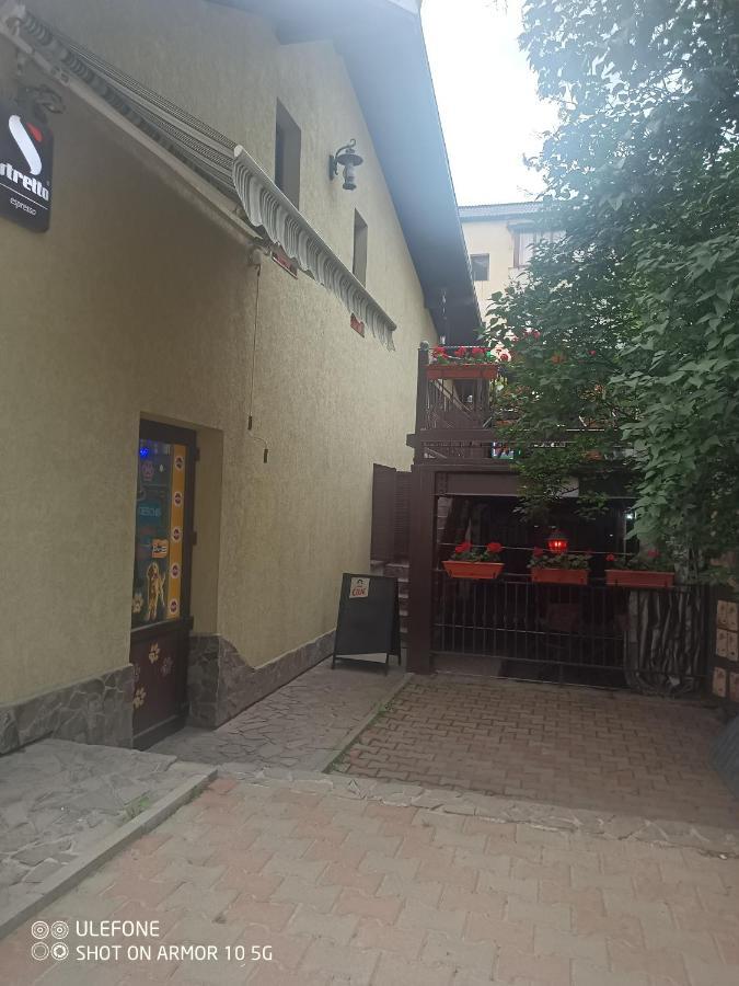 Ferienwohnung Casa Lucescu Vatra Dornei Exterior foto
